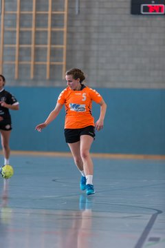 Bild 239 - Frauen OL TuS Esingen - SG Niendorf/Wandsetal : Ergebnis: 24:17